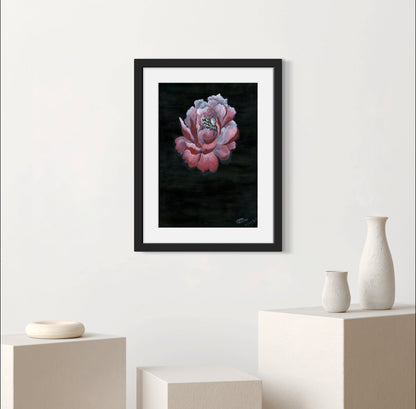 Lily III Art Print